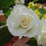 Haus Bichl 아파트 핑켄베르그