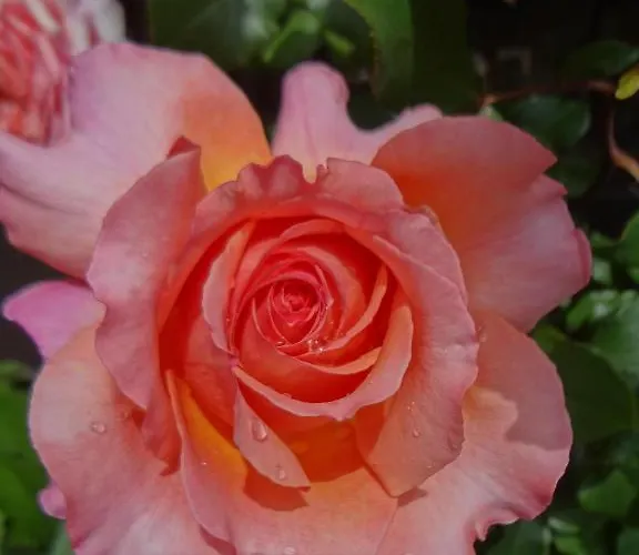 Haus Bichl Appartamento